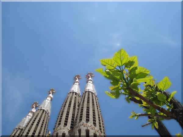 Sagrada Familia in Barcelona