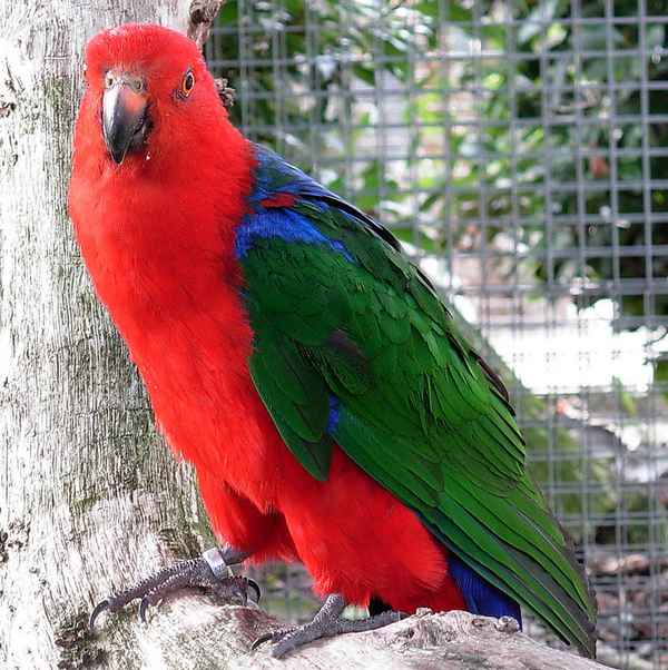 Bin ich nicht schön?