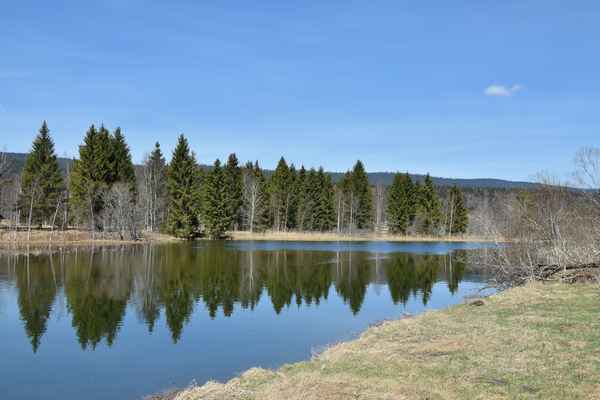 Der perfekte Spiegel