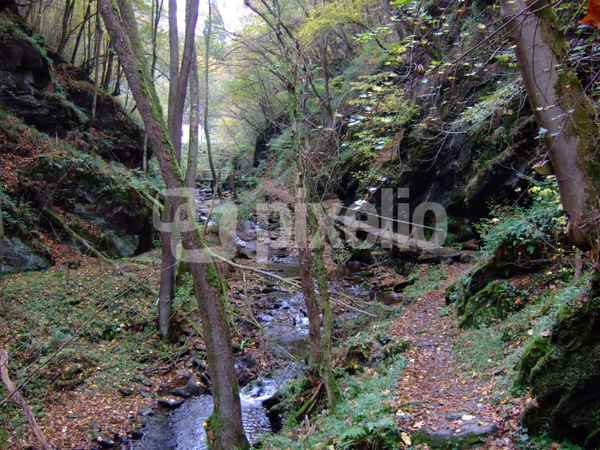 Bachlauf mit Holzbrücke