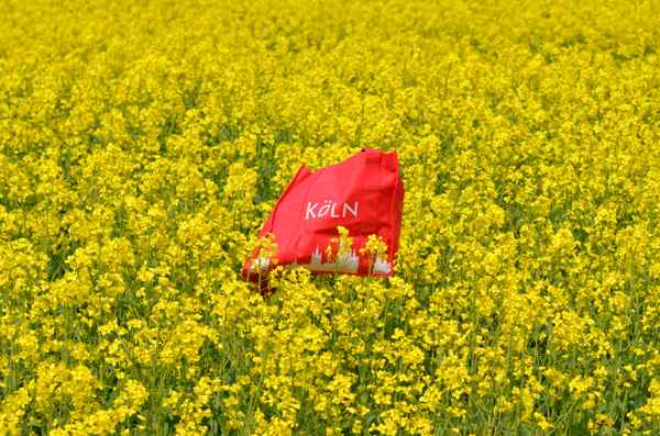 eine tasche im rapsfeld