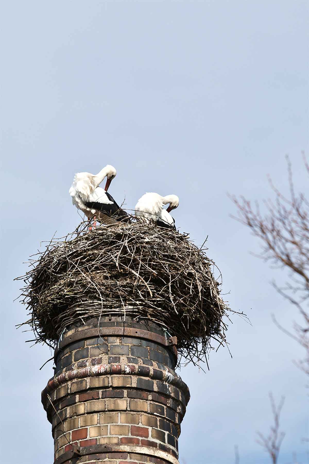 Alles in Ordnung bringen