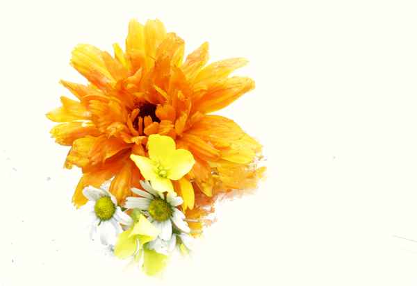 * ws *verregnete sommergrüße