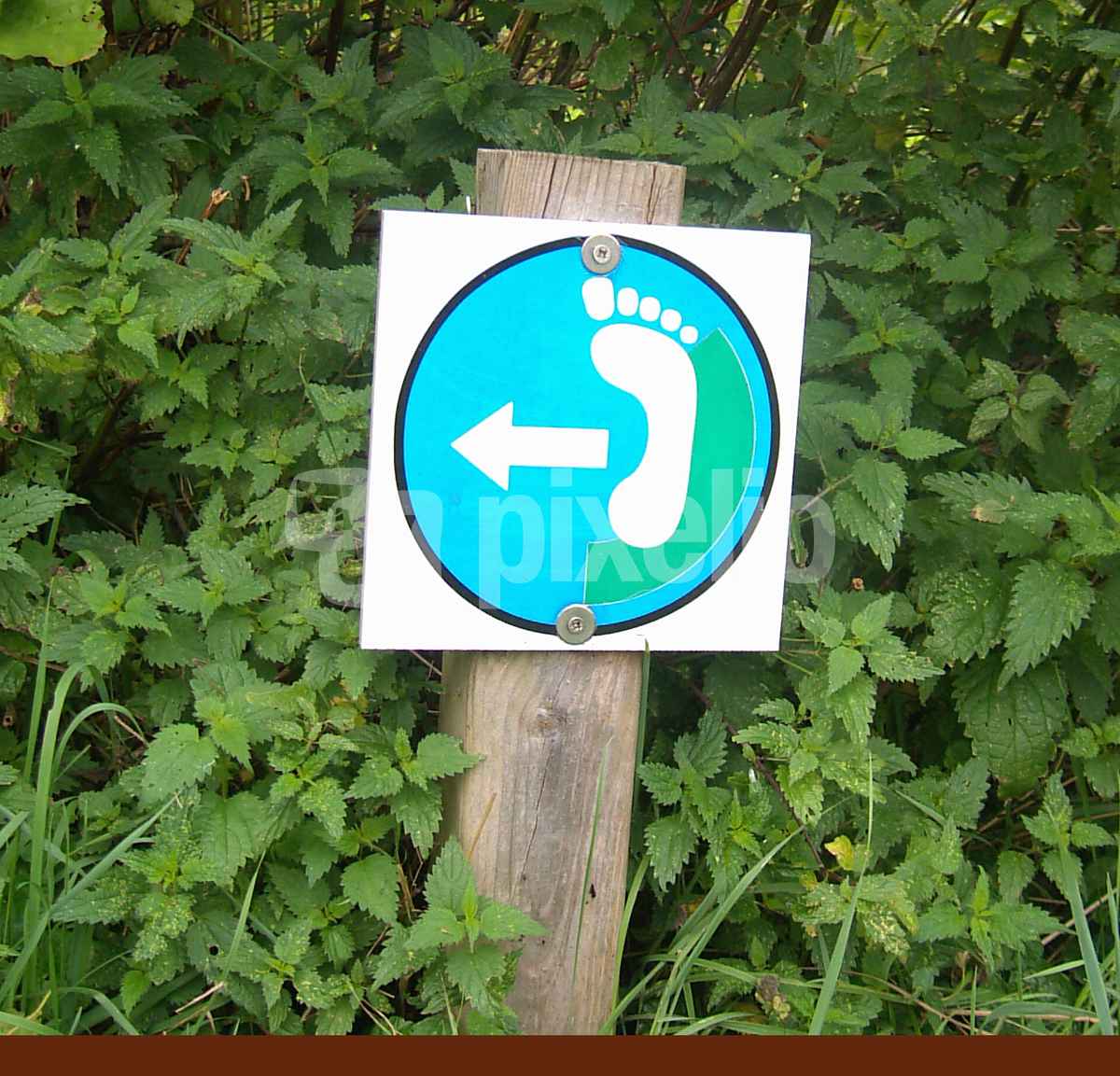 Barfußgang