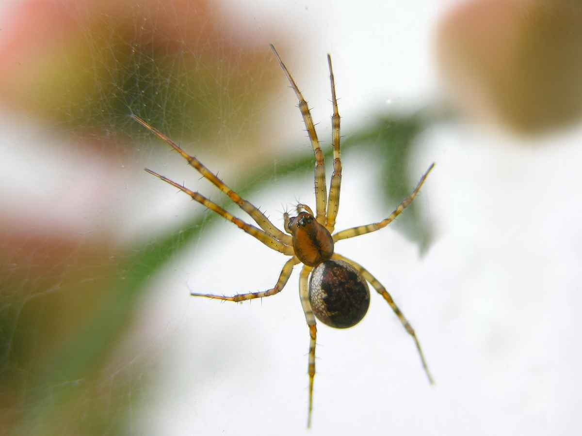 Die hing da so rum ....