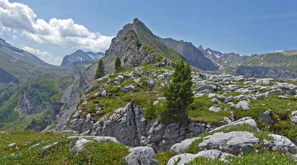 Tagesziel: Tällihorn (2284 m)