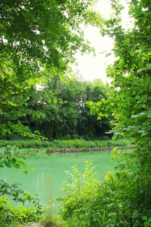 Farbe des Lebens