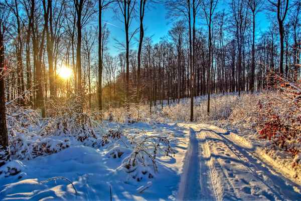 Abendsonne im Winter-Wunderland
