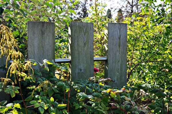 Abgrenzung