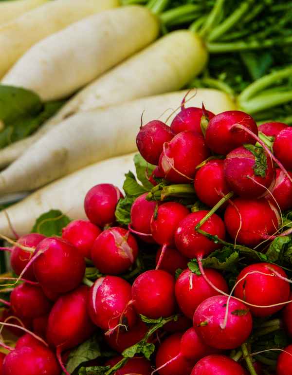 Viktualienmarkt - Gemüse - Radi