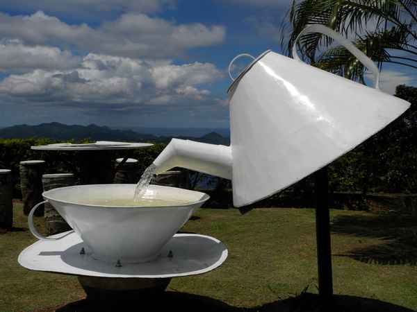 Tea-Time