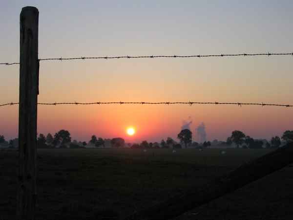 Sonnenaufgang Herbst 2003 Donautal