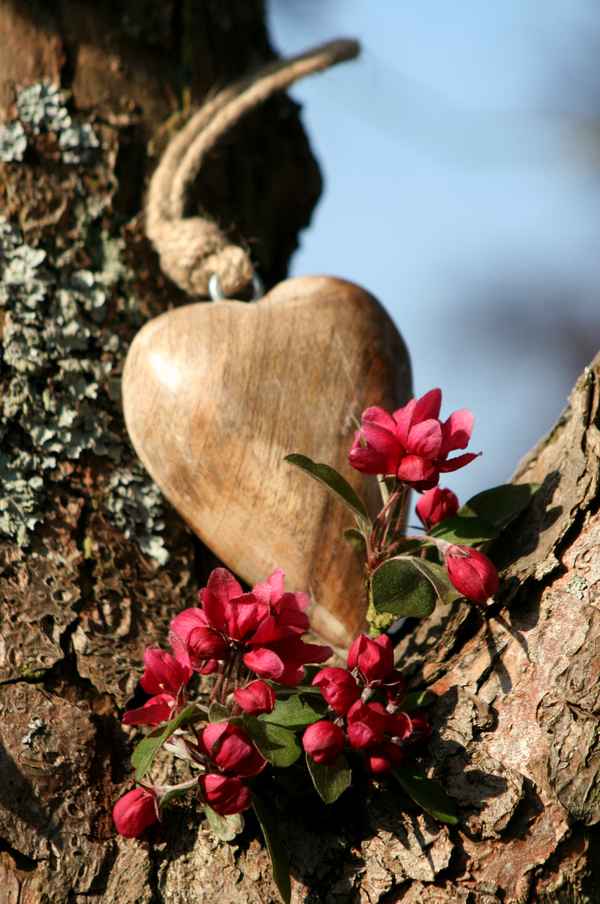 kleines herz aus holz