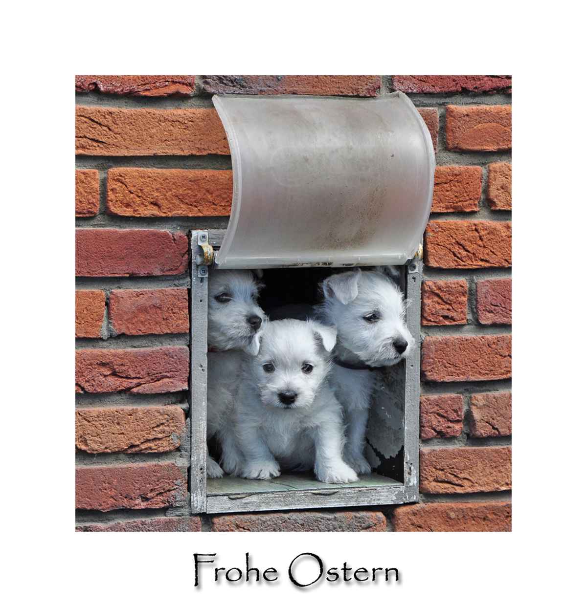 Frohe Ostern