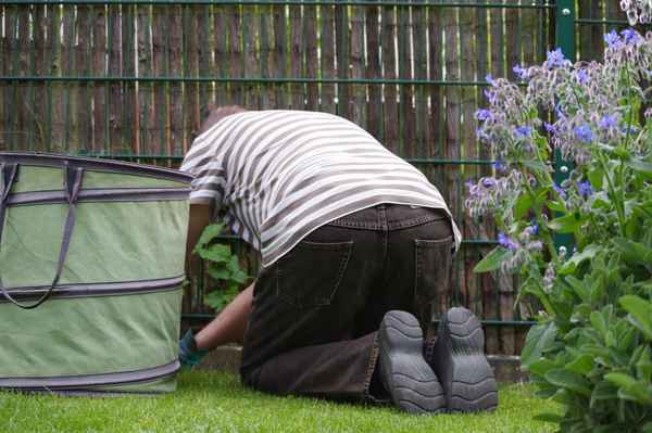 Gartenarbeiten
