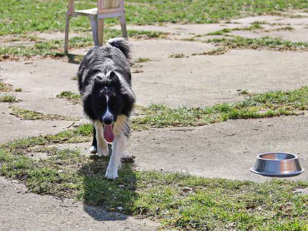 ich bin vollkommen alle