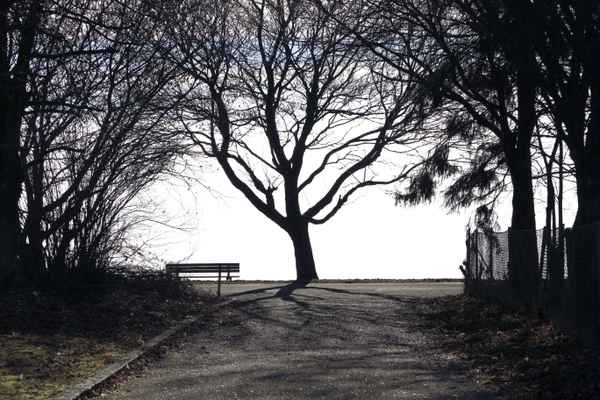Licht und Schatten 35