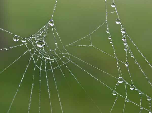 aus der herbst-schmuck-collection 2009