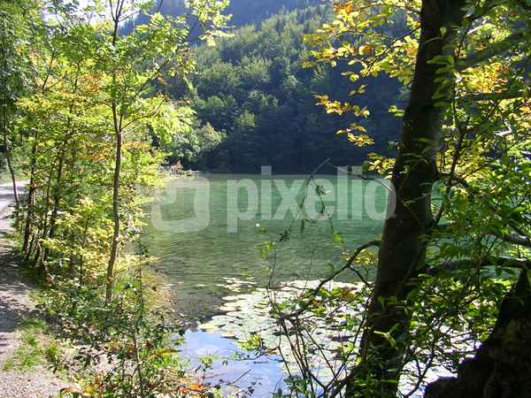 Alatsee 2