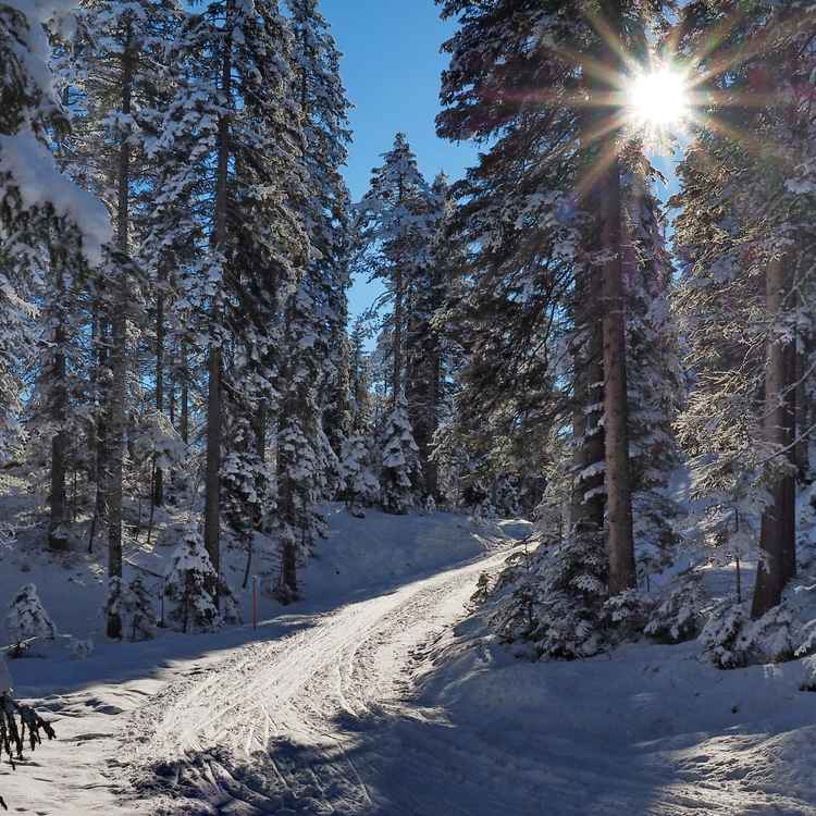 winterstimmung