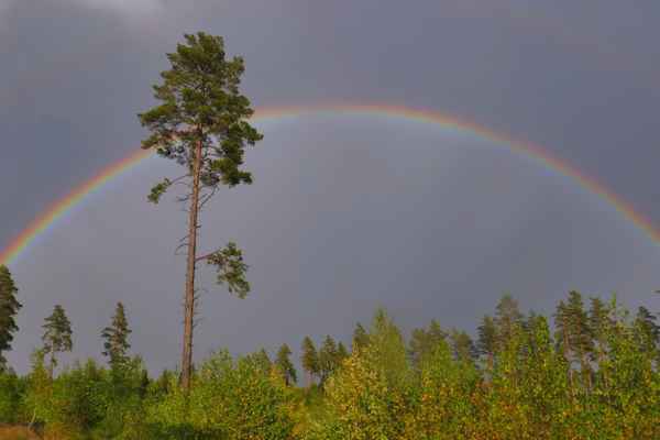 Wetterphänomen