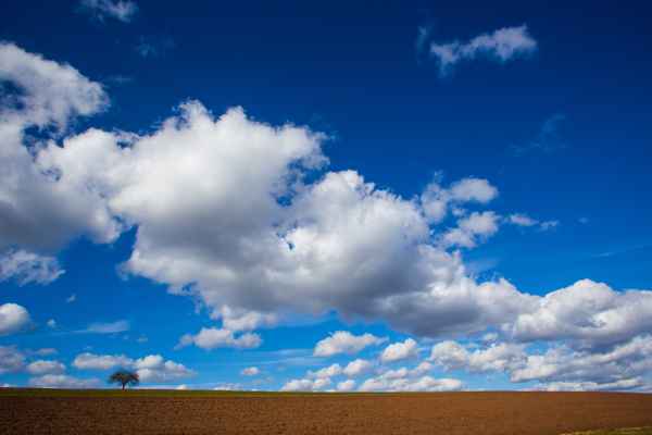 Landwirtschaft Anfang März 2