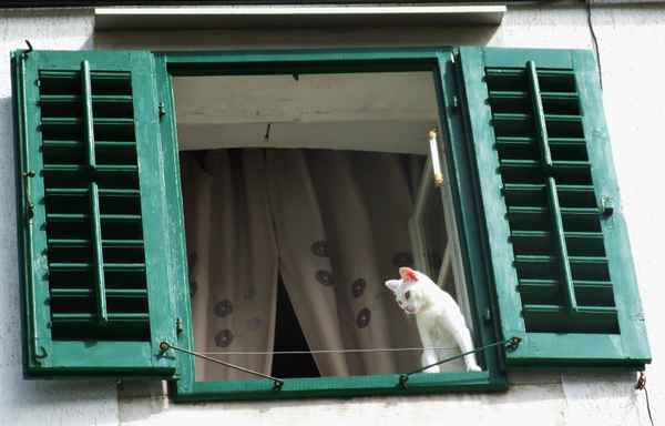 Trautes Heim