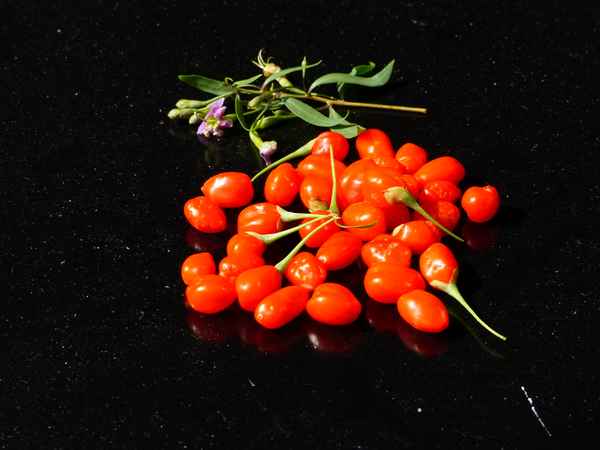 Goji-Beeren