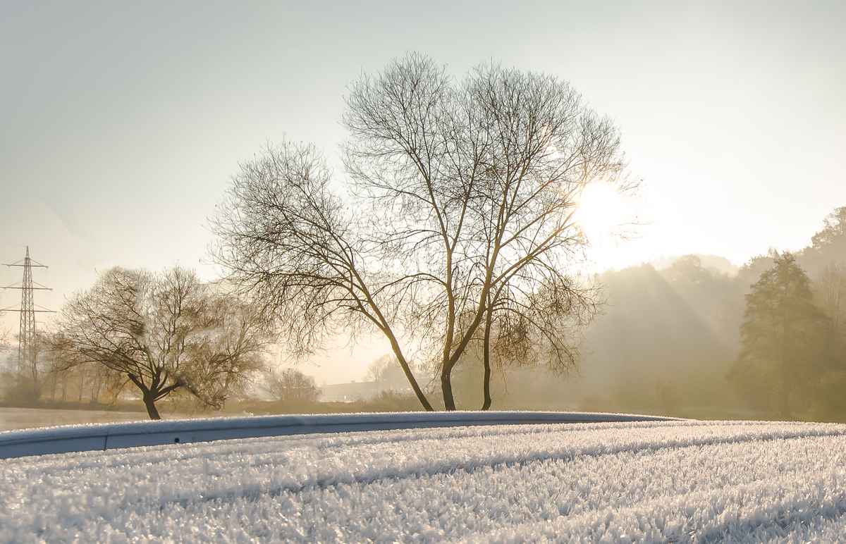 Der frühe Frost