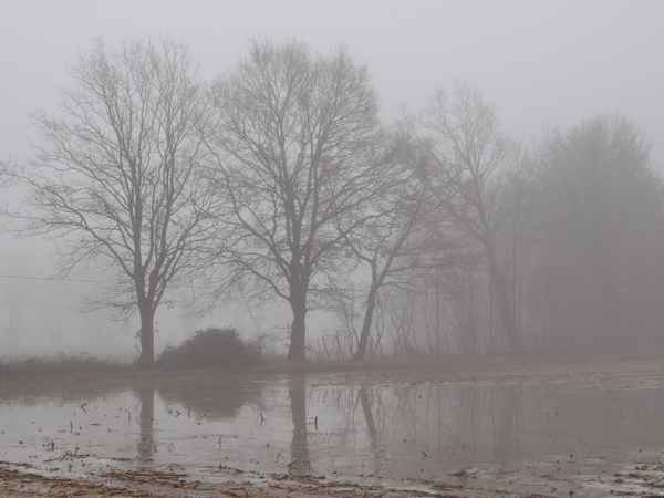 land unter im nebel