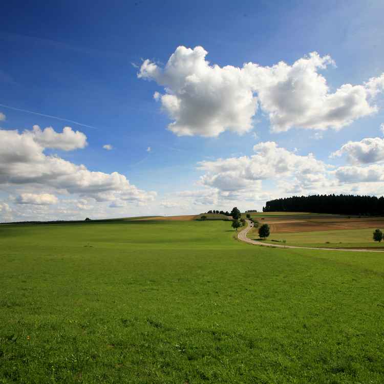 Ferienland_quer
