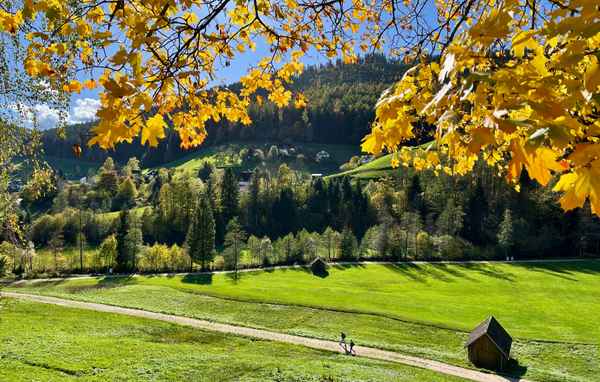 Wanderherbst im Tonbachtal