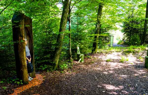 Wellness-Wald - im Schutz des Baumes