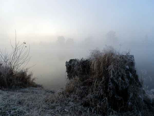 Novembermorgen am Fluss