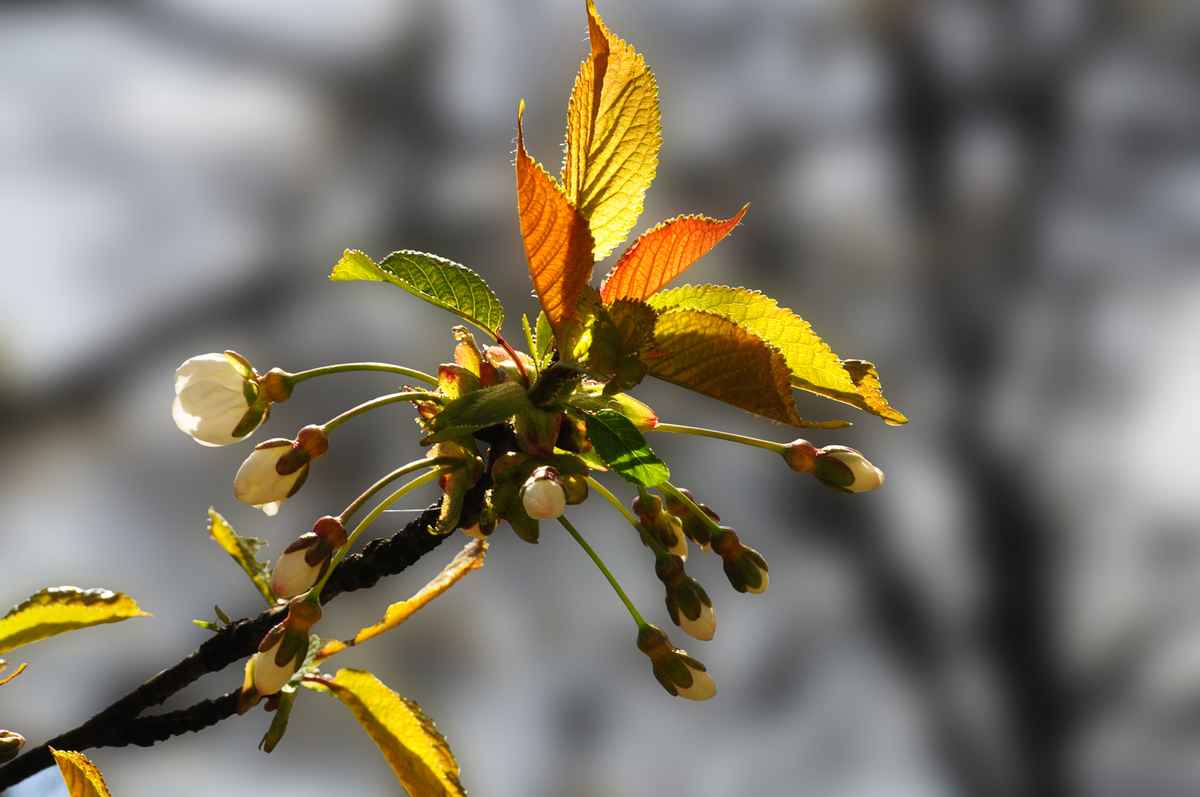 Frühling
