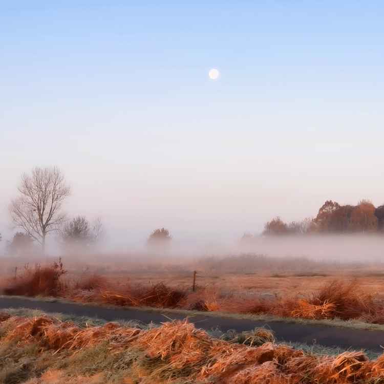 Nebelstreif im roten Morgenlicht