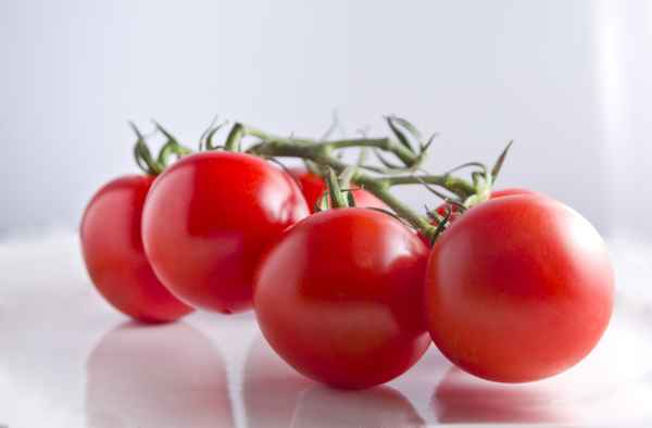 Tomaten