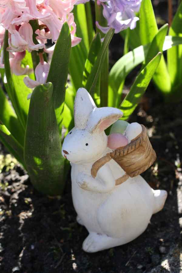 Osterhase
