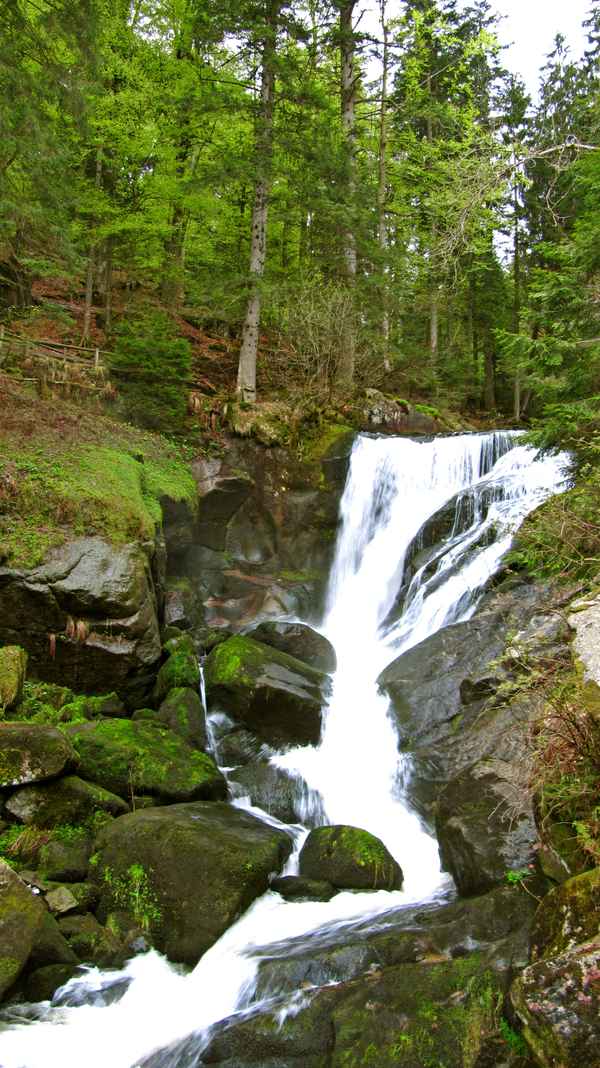 Wasserfall in Triberg