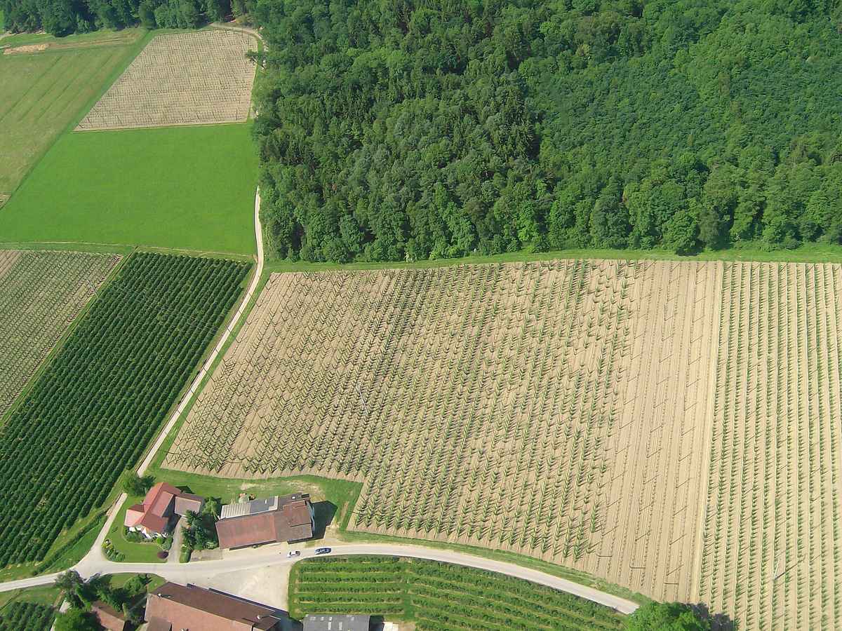 Irgendwo am Bodensee