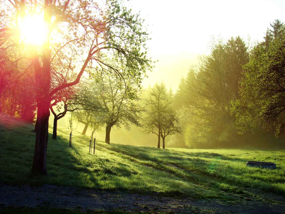 Sonnenaufgang im Mühlviertel