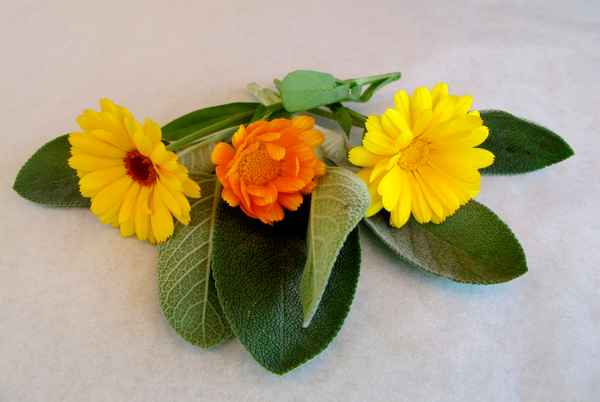 Tee mit Salbei und Ringelblumen
