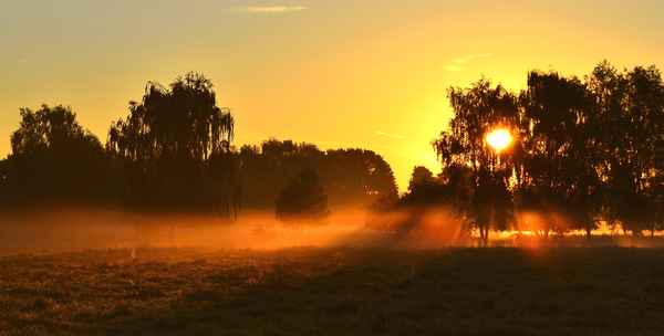 Morgensonne