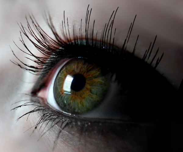 The Eye