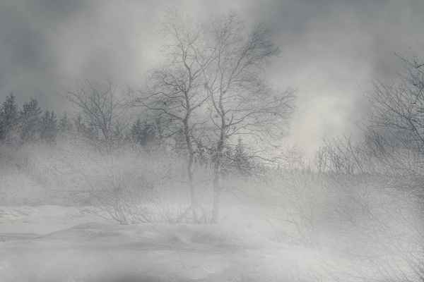 Nebel