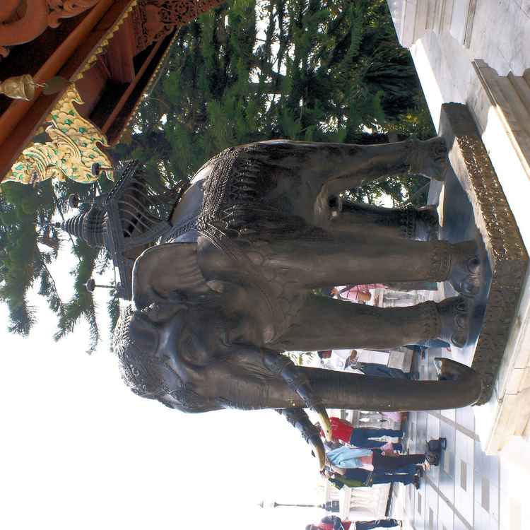 Der Chang im Tempelbereich