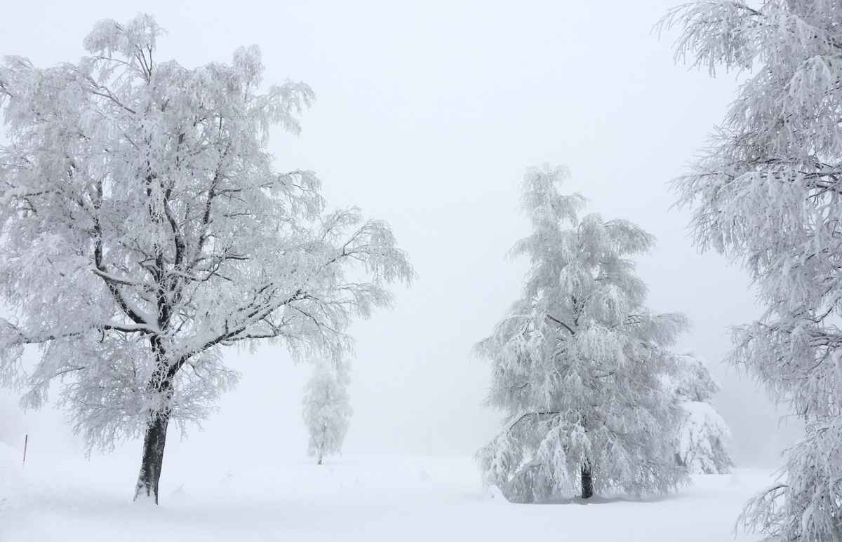 Schwarzwaldwinter als weisse Wonne