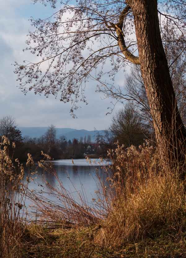 Seeblick