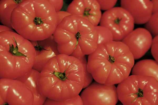 Tomaten