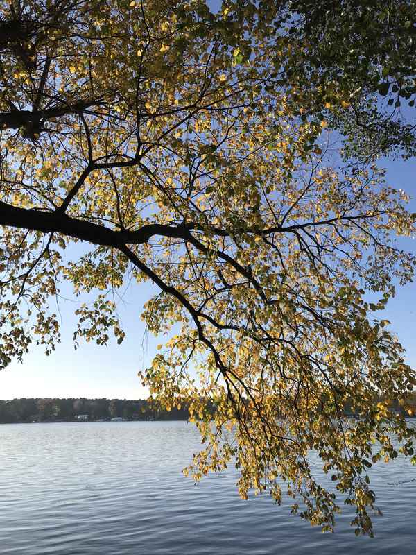 Herbststimmung am See / Foto: Alexander Hauk